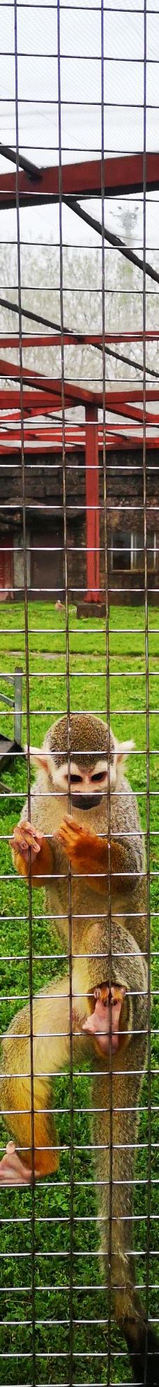 南昌动物园-南昌