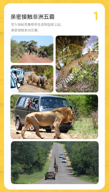 跟队自驾南非约翰内斯堡克鲁格国家公园好望角伊丽莎白港