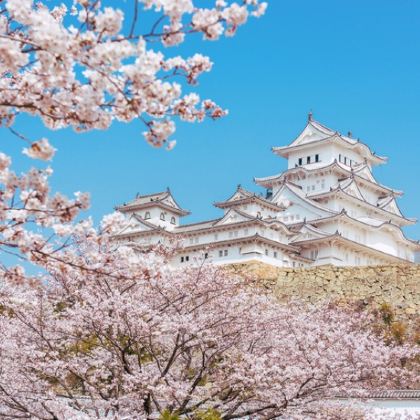 日本东京+大阪+富士山6日5晚私家团