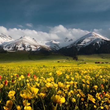 新疆乌鲁木齐+南疆+喀什市5日4晚自由行