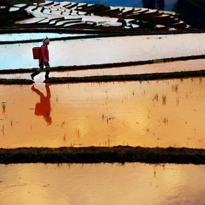 云南昆明+抚仙湖+建水+元阳+蒙自+河口+弥勒+石林8日7晚拼小团