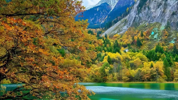 7D6N · Group Tours · Chengdu + Jiuzhaigou + Huanglong National Scenic Area + Chengdu Research Base of Giant Panda Breeding + Sanxingdui Museum