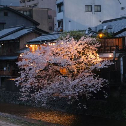 日本京都+大阪4日3晚私家团