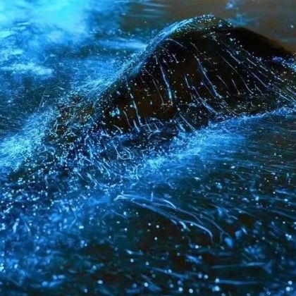 马来西亚浪中岛+吉隆坡6日5晚私家团