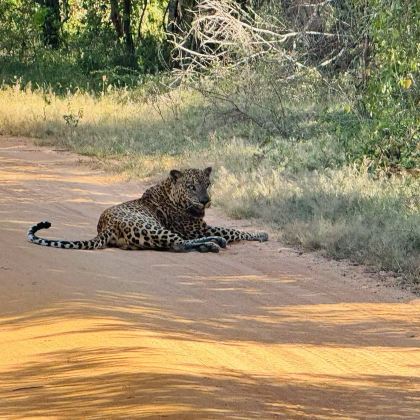 斯里兰卡7日6晚跟团游