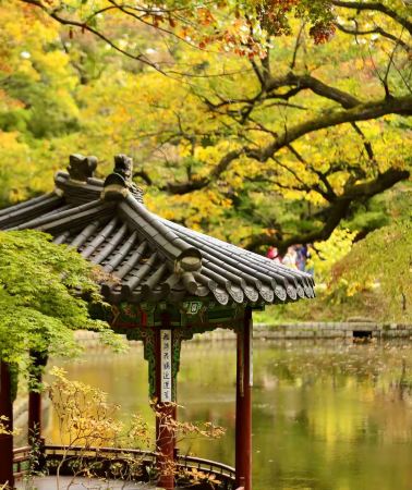 6D5N • A Great Travel Destination: South Korea + Seoul + Garosu-gil Street