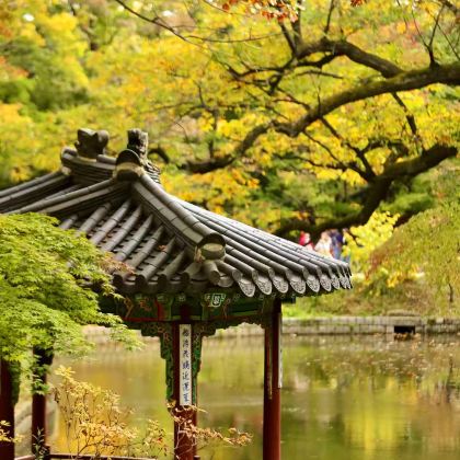 韩国首尔+江原道5日4晚跟团游