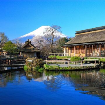 日本大阪+京都+奈良市+富山市+东京8日7晚跟团游