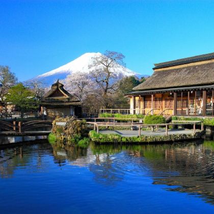 日本大阪+京都+奈良+富山+东京8日7晚跟团游