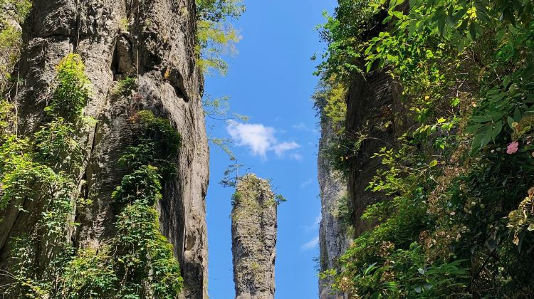 3D2N · Group Tours · Enshi City