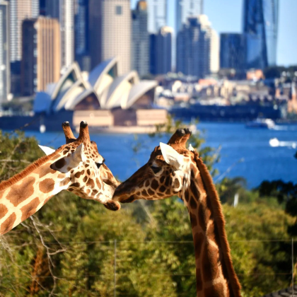 澳大利亚悉尼+猎人谷+悉尼歌剧院11日8晚私家团