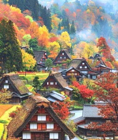 7日6晚 • 日本名古屋+飛驒高地+金澤+下呂市