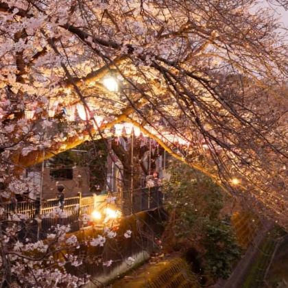 日本东京+富士山+箱根5日4晚私家团