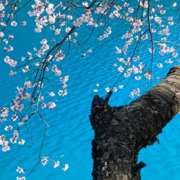 成都+九寨沟+黄龙风景名胜区+三星堆博物馆7日6晚私家团