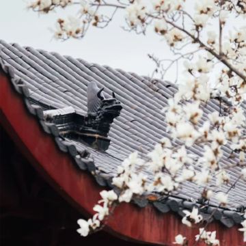 武汉+武汉大学+湖北省博物馆+黄鹤楼4日3晚跟团游