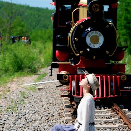 哈尔滨+漠河北极村5日4晚私家团