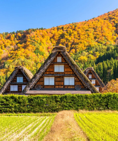 3D2N • Japan + Nagoya : Nagoya - Takayama - Shirakawa-go - Nagoya