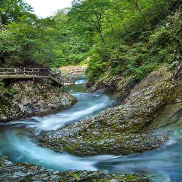 宁波+余姚+绍兴6日5晚私家团