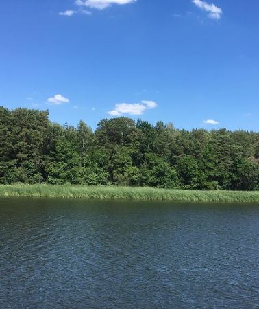 2D1N • 2-day excursion to Bad Saarow