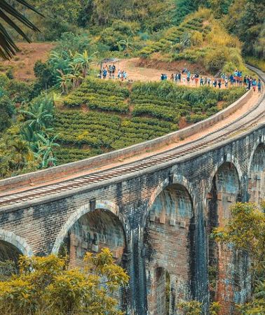 5D4N • Sri Lanka 5 Day tour Best Nature and Culture include top hotels