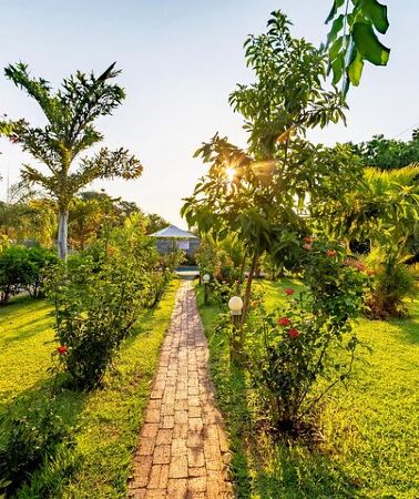 3D2N • 4-day trip to Victoria Falls and Chobe Safari