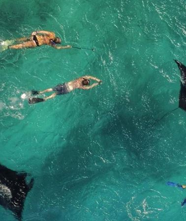 7D6N • Maldives: Swim with the Giants Multi-Day Island-Hopping