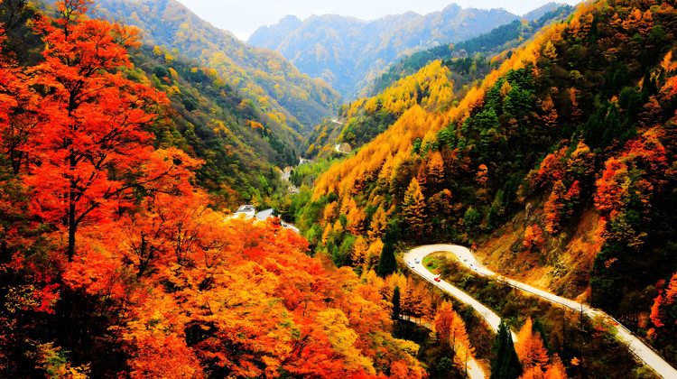 情侣成都5天浪漫定制游，人均4500元玩转鱼子西星空+木格措温泉