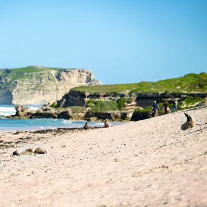 澳大利亚阿德莱德5日4晚跟团游