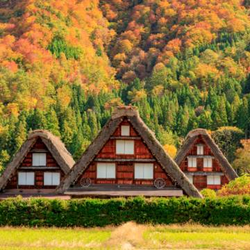 日本名古屋+白川乡+飞弹高地+金泽+富山5日4晚私家团