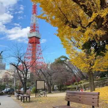 日本东京+大阪7日6晚私家团