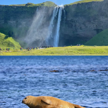 冰岛+蓝湖+米湖+斯奈山半岛+钻石冰沙滩+法格拉达尔火山8日7晚跟团游