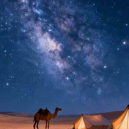 宁夏银川+中卫+腾格里沙漠2日1晚拼小团