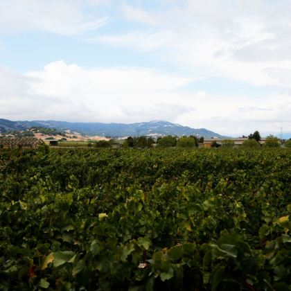 美国西雅图+旧金山10日9晚跟团游