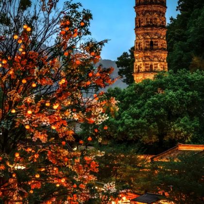 台州4日3晚私家团