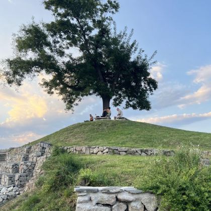 保加利亚8日7晚私家团