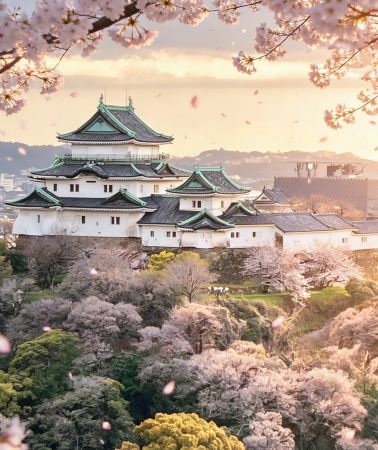 6D5N • Japan + Osaka + Wakayama City + Kobe + Nara City + Kyoto