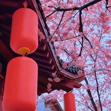 武汉+黄鹤楼+宜昌+恩施市6日5晚跟团游