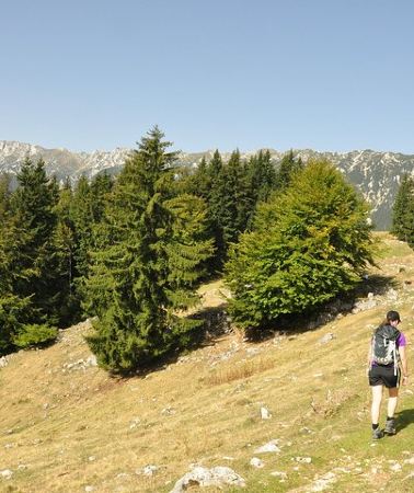8D7N • Village life in Transylvanian Carpathian mountains - 8 days