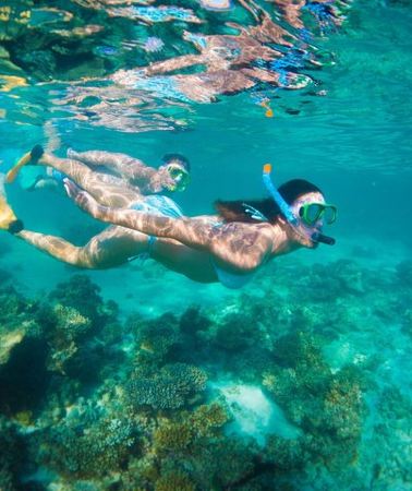 6D5N • 6-Day Coral Coaster from Perth to Exmouth One-Way via Monkey Mia Ningaloo Reef