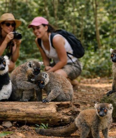 3D2N • 3 Days Andasibe Mantadia Private Tour