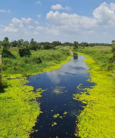4D3N • Ho Chi Minh: 4-Day Mekong & U Minh Thuong Tour to Phu Quoc