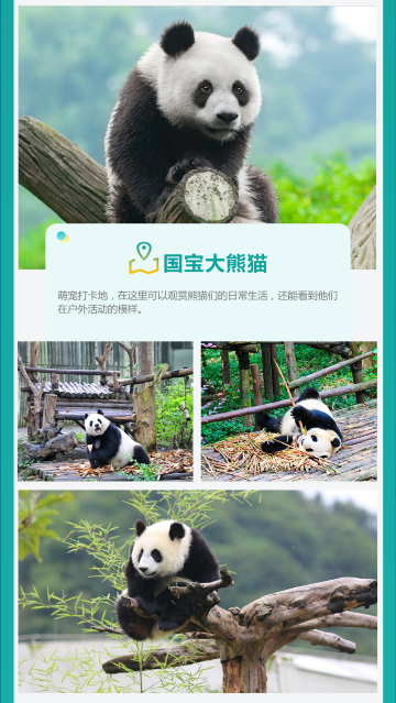 成都
