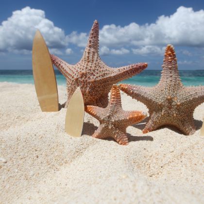 澳大利亚黄金海岸+特威德河+拜伦湾8日5晚私家团