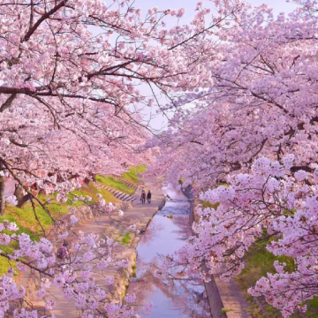 日本大阪+京都+奈良5日4晚拼小团