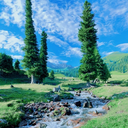 阿禾公路+禾木风景区+赛里木湖+那拉提旅游风景区+中国新疆喀纳斯景区9日8晚跟团游