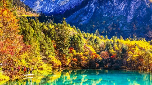 九寨沟、成都+6