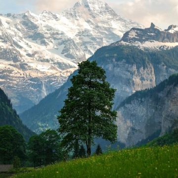 法国+意大利+瑞士12日10晚私家团