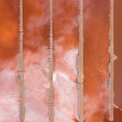 澳大利亚珀斯+国王公园+卡尔巴里国家公园+罗特尼斯岛9日7晚私家团