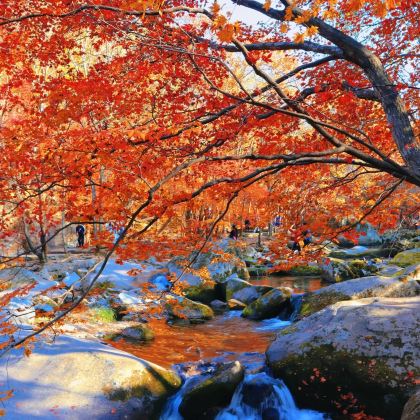 沈阳+本溪+盘锦4日3晚拼小团