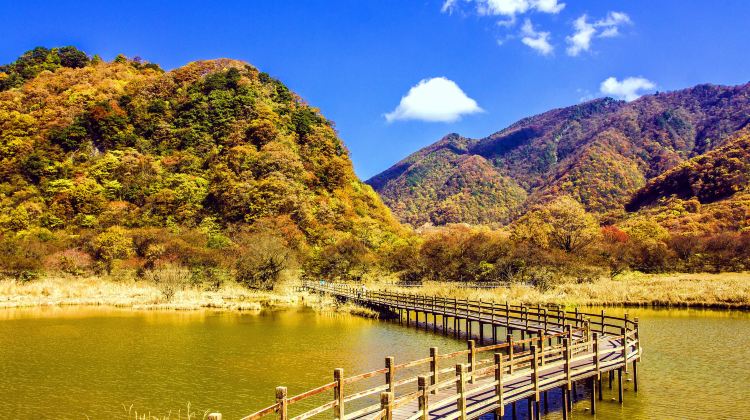 5-day 4-night · Private Tour · Enshi City + Shennongjia